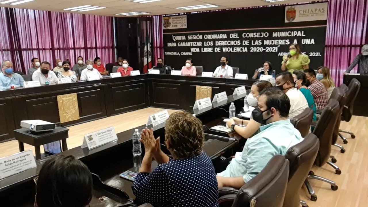 CONSEJO MUNICIPAL PARA GARANTIZAR LOS DERECHOS DE LAS MUJERES A UNA VIDA LIBRE DE VIOLENCIA EN TAPACHULA