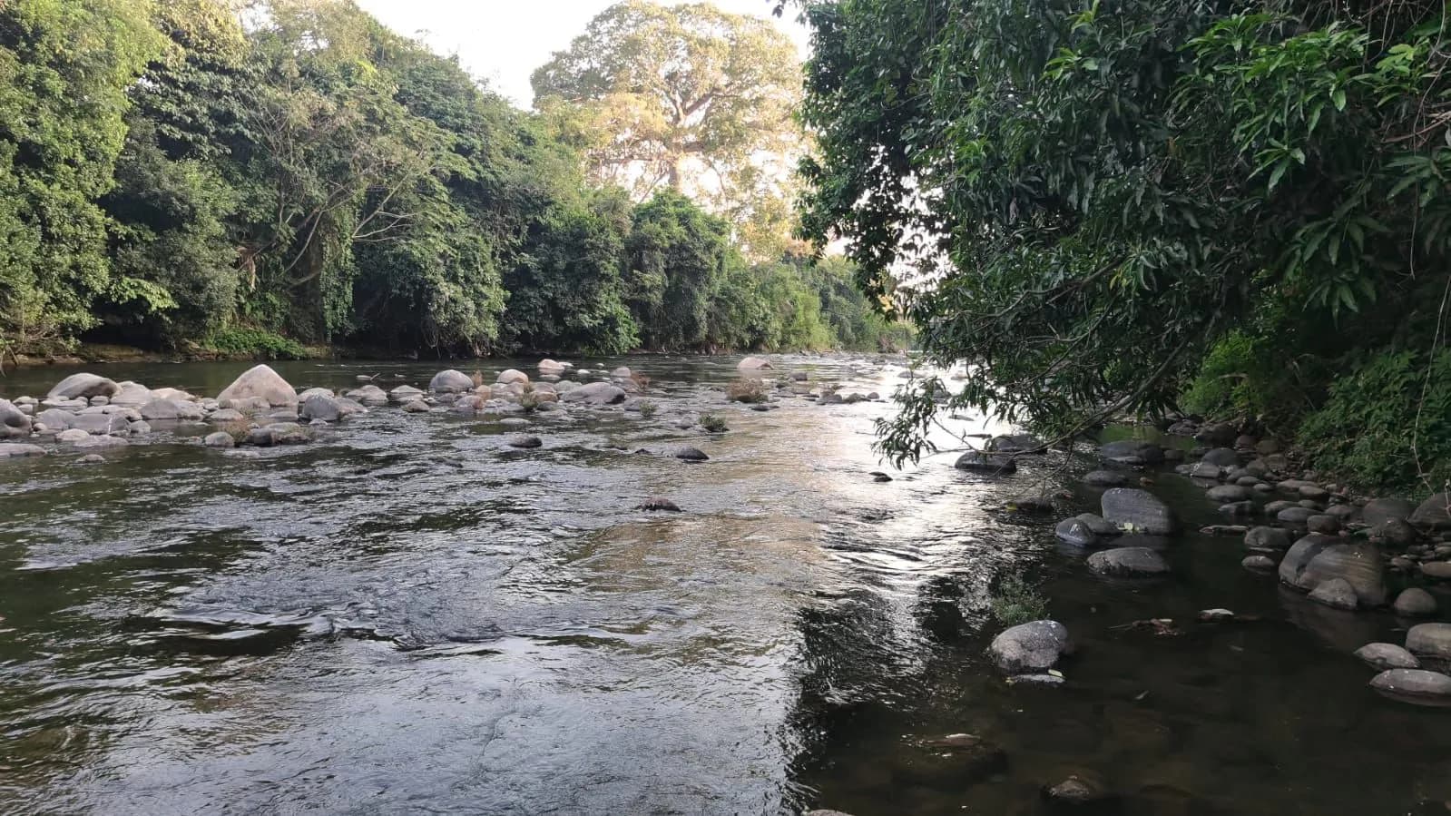 Autoridades descartan versiones publicadas en redes sociales y confirman investigación por cuerpo localizado en el río Cahoacán