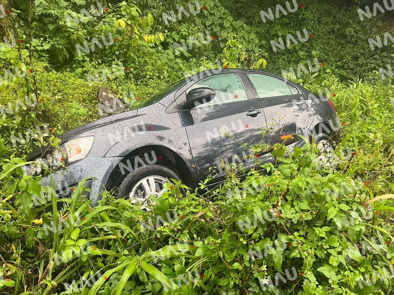 Se salió de la carretera