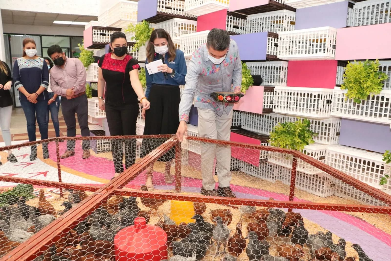 Beneficia Rutilio Escandón a 8 mil 750 mujeres con proyectos de producción de traspatio