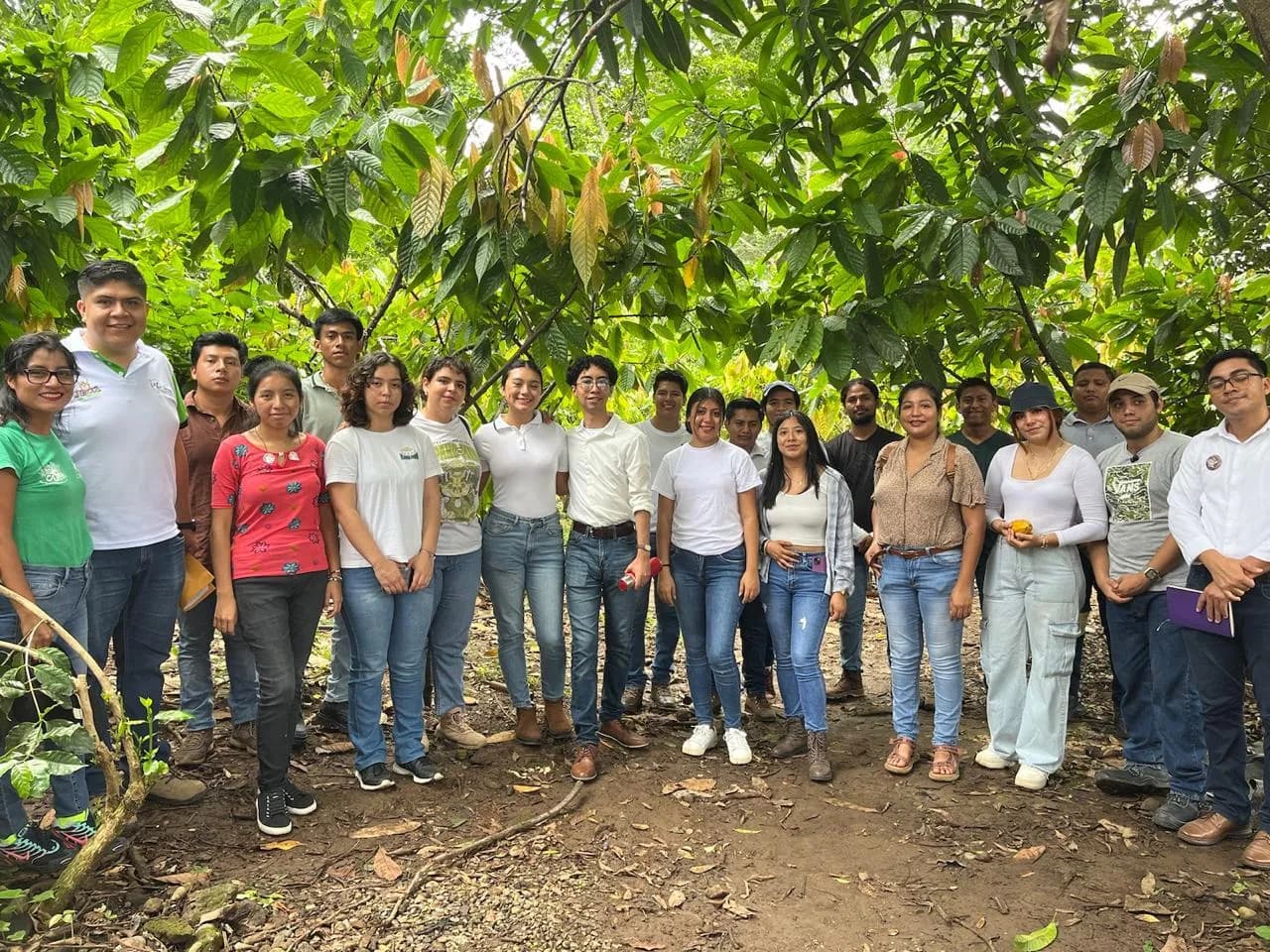 CASFA: Alianzas Estratégica para el Desarrollo Sostenible y la Agroecología en Chiapas