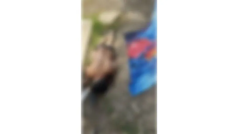 Asesinan a machetazos a trabajador de un rancho