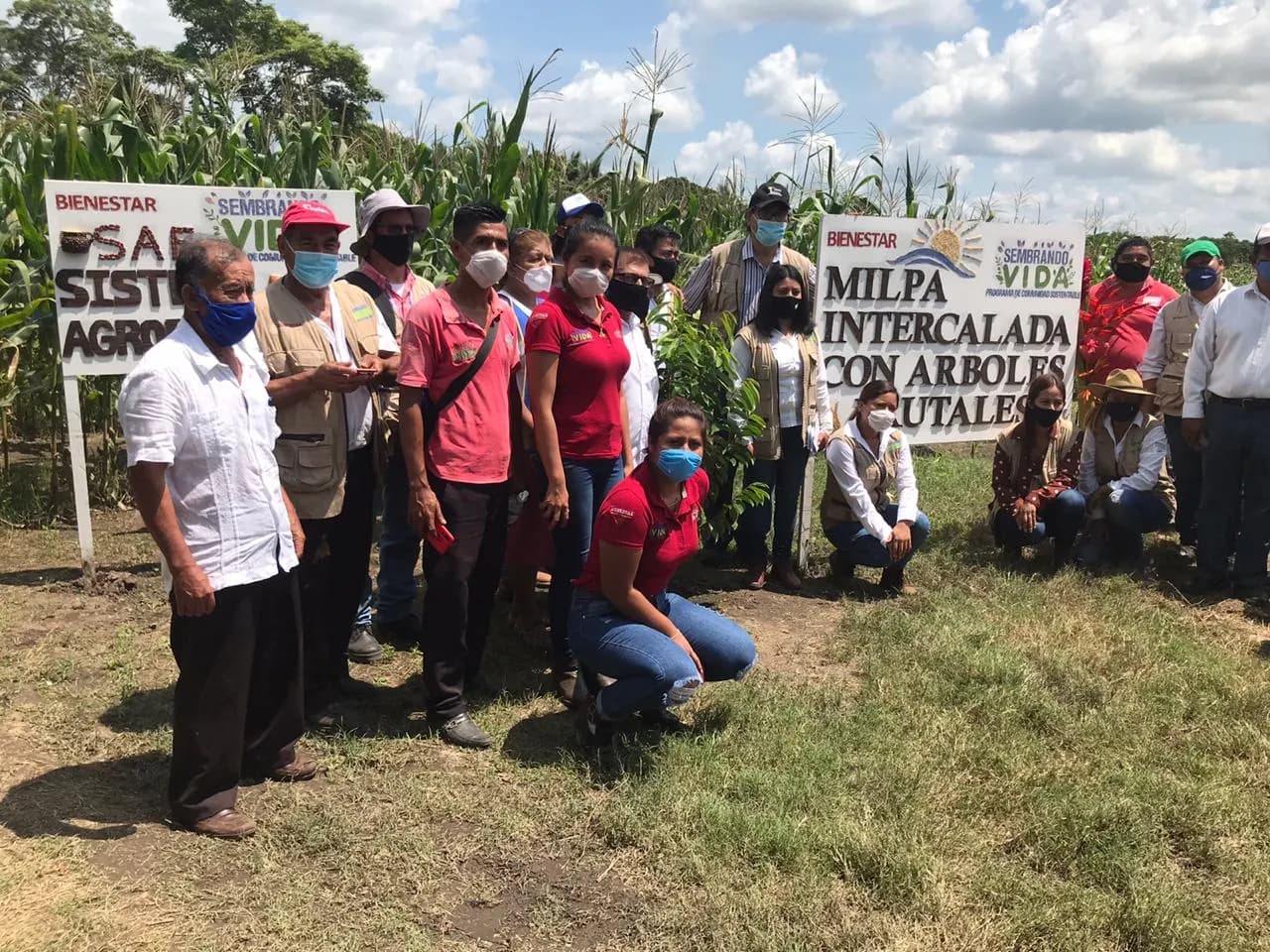Sembrando Vida Impulsa La Seguridad Alimentaria De La Región