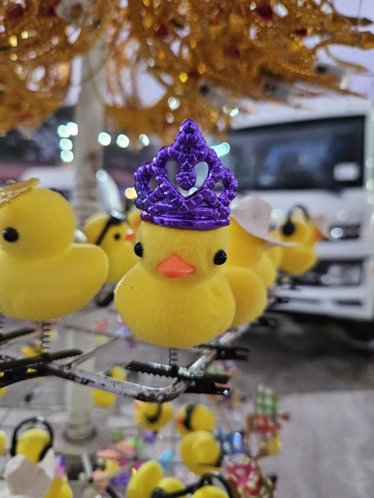EL PATITO JUAN ESTÁ EN LA EXPO FERIA TAPACHULA 2024