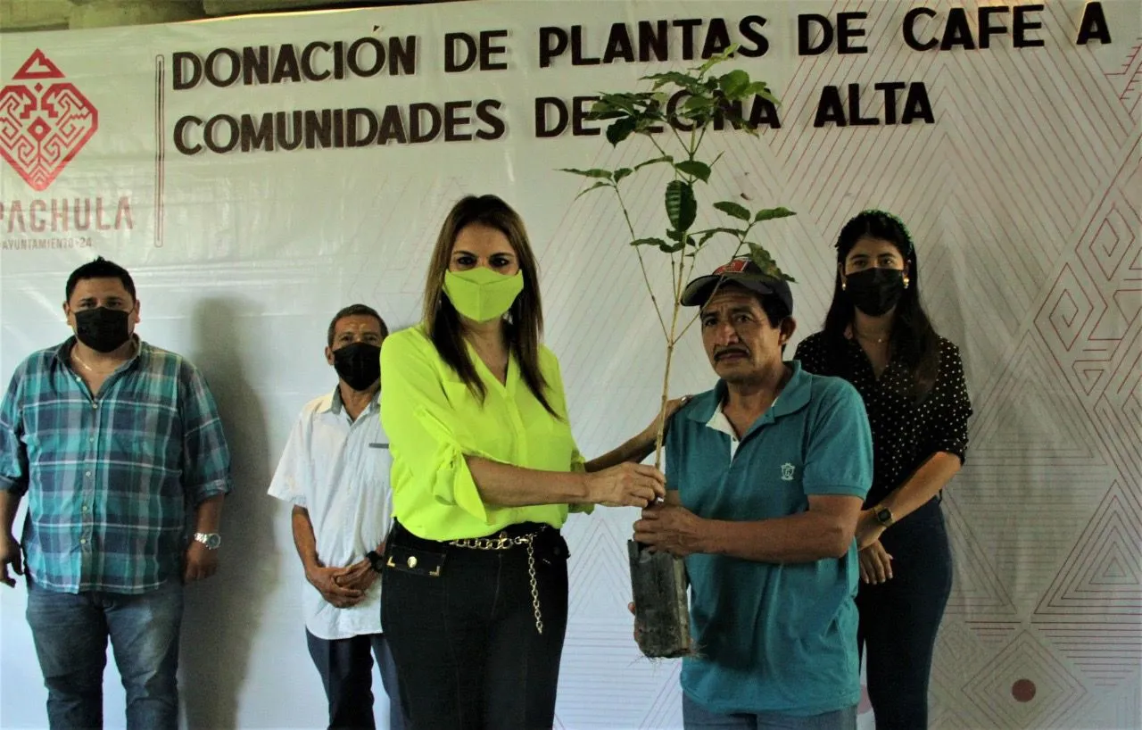 AYUNTAMIENTO DE TAPACHULA RATIFICA COMPROMISO CON CAFETICULTORES DE LA ZONA ALTA