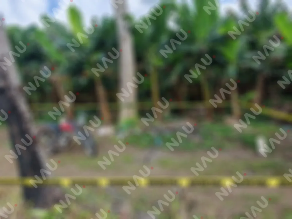 Hallan sin vida a hombre en una parcela de Tuzantán; investigan posible descarga eléctrica