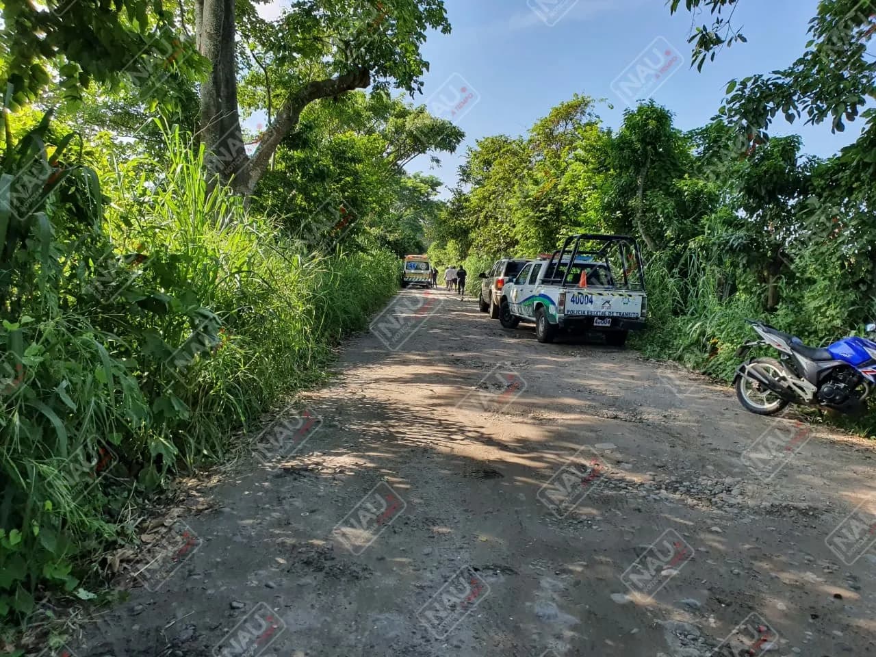 Le robaron caja seca de un predio en el Ejido Álvaro Obregón
