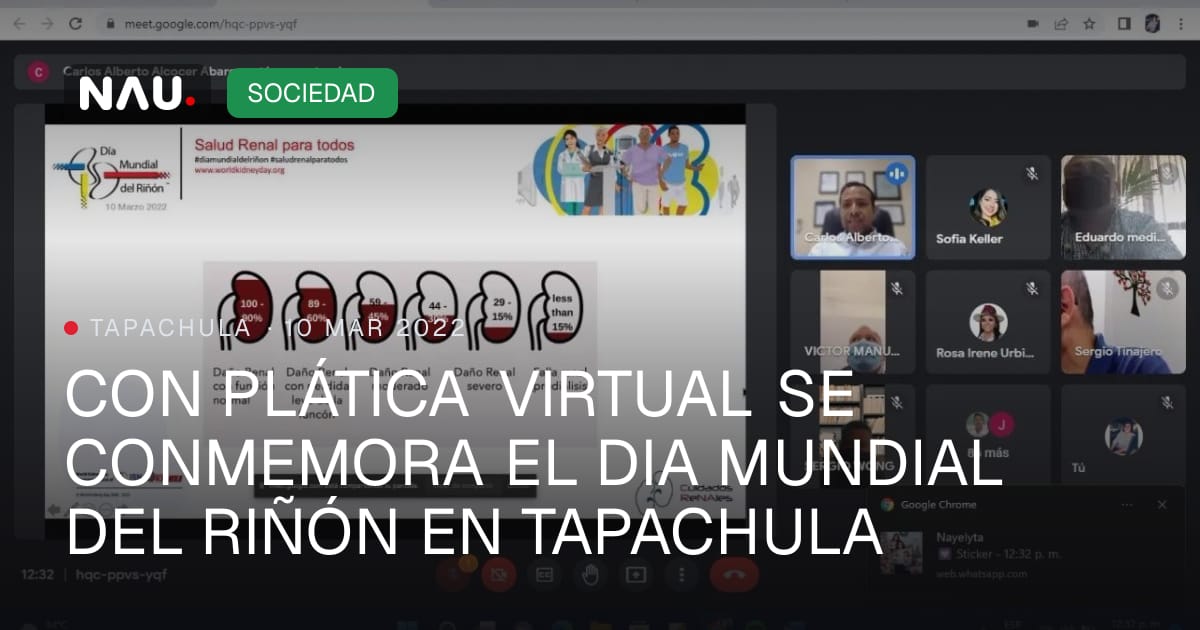 CON PLÁTICA VIRTUAL SE CONMEMORA EL DIA MUNDIAL DEL RIÑÓN EN TAPACHULA ...