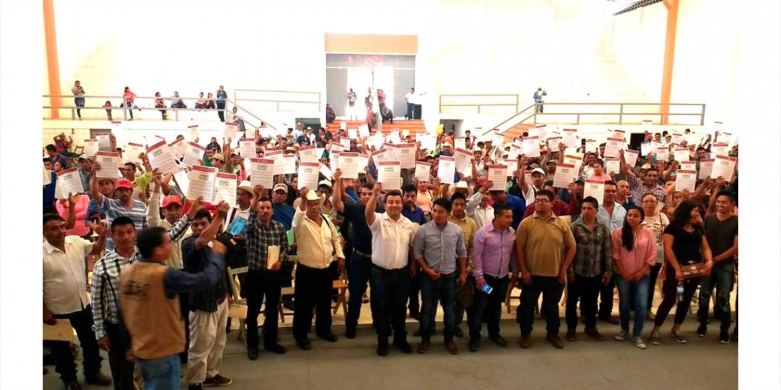 Se reactiva la economía del campo con Sembrando Vida