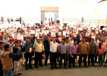 Se reactiva la economía del campo con Sembrando Vida