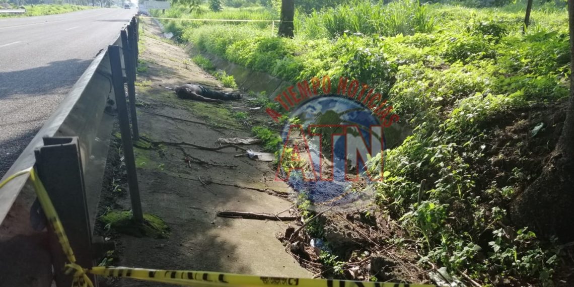 Ciclista muere atropellado en la carretera a Puerto Madero