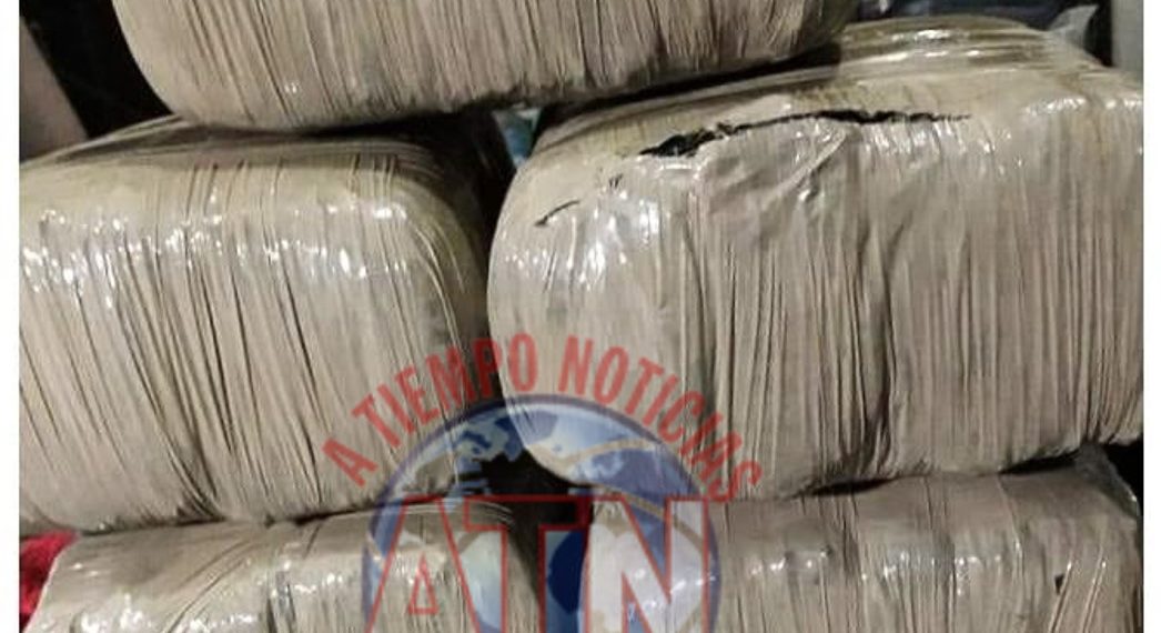 Incauta Delegación de la FGR más de 5kg de marihuana en autobús