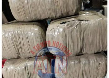 Incauta Delegación de la FGR más de 5kg de marihuana en autobús