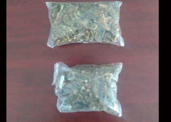 Detienen a sujeto con 2 bolsitas de marihuana