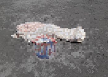 Fallecen dos personas de la tercera edad