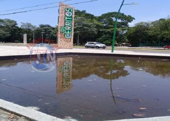 Delincuentes roban todo de valor de un vehículo