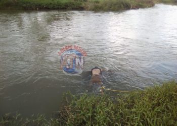 Desde el domingo andaba desparecido