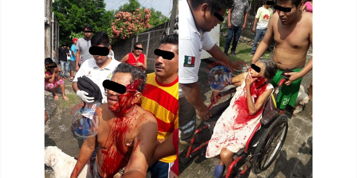 Intentó asesinar a sus abuelos