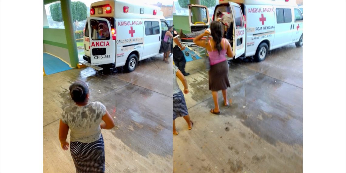 Casi los mata la rama de un árbol