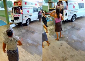 Casi los mata la rama de un árbol