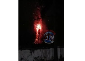 Bomberos rescatan un gato y controlan incendio de palmeras