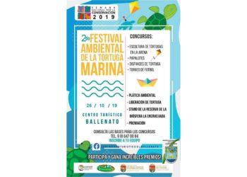 Realizarán 2º. Festival Ambiental Por La Conservación De La Tortuga Marina