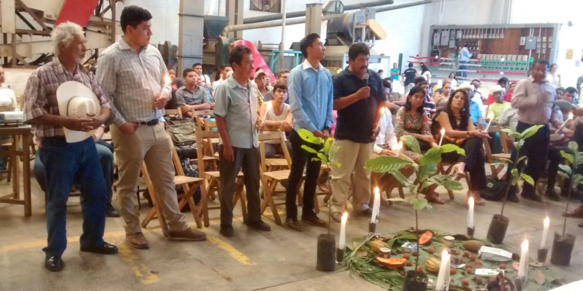 Llamado A Cultivar Productos Orgánicos