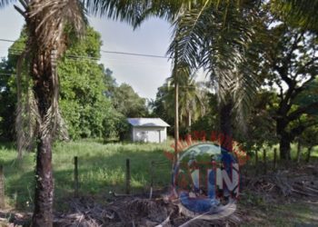 Entran a robar a un rancho y amarran a velador