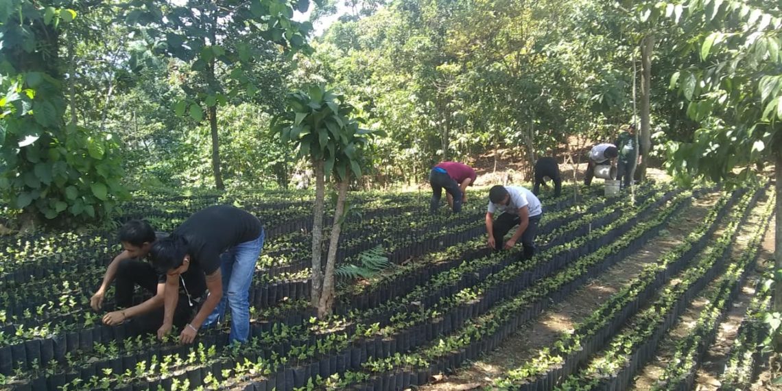 Rechazan Que Exista Corrupción En Programa Sembrando Vida De Unión Juárez