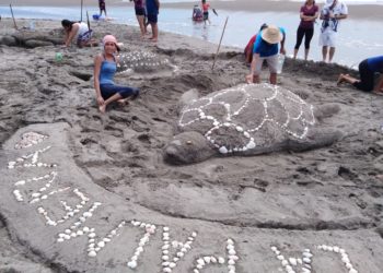 Un Éxito El 2º. Festival Ambiental Por La Conservación De La Tortuga Marina