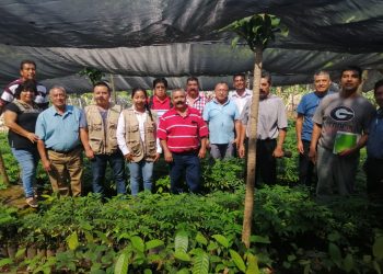 Entregan 8 Mil Plantas De Café Y Maderables En Unión Juárez