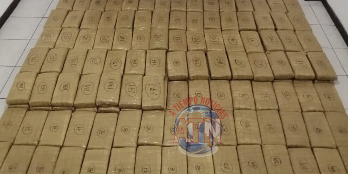 Aseguran la Fiscalía de Alto Impacto y la SSPYPC  más de 250 kilogramos de marihuana