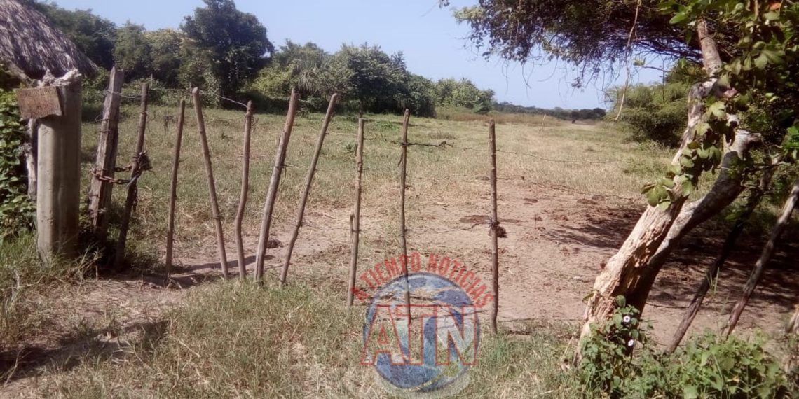 Lo asesinaron y su familia se lo llevó a su casa