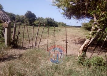 Lo asesinaron y su familia se lo llevó a su casa