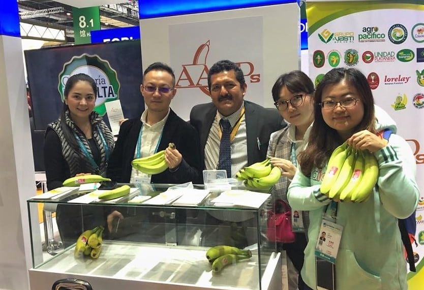 Plátano Chiapaneco Llegará A China El Próximo Año