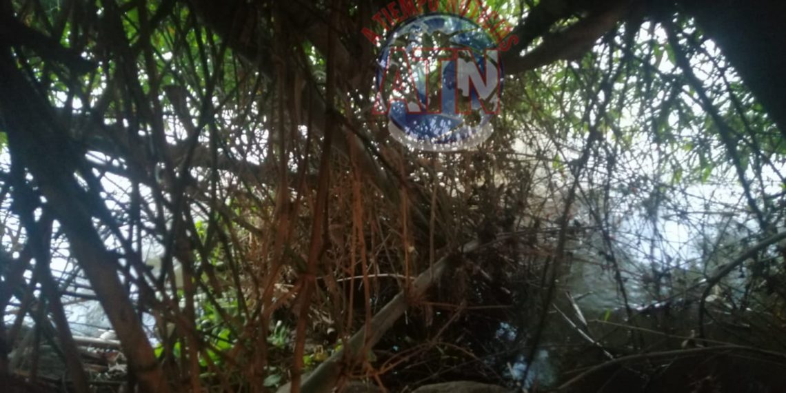 Localizan a una osamenta en Suchiate