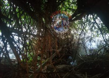 Localizan a una osamenta en Suchiate