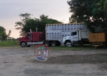 Aseguran más de 30 vehículos, armas y droga en los 5 ranchos cateados de Mazatán