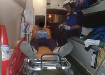 Animal ponzoñoso le pica a joven