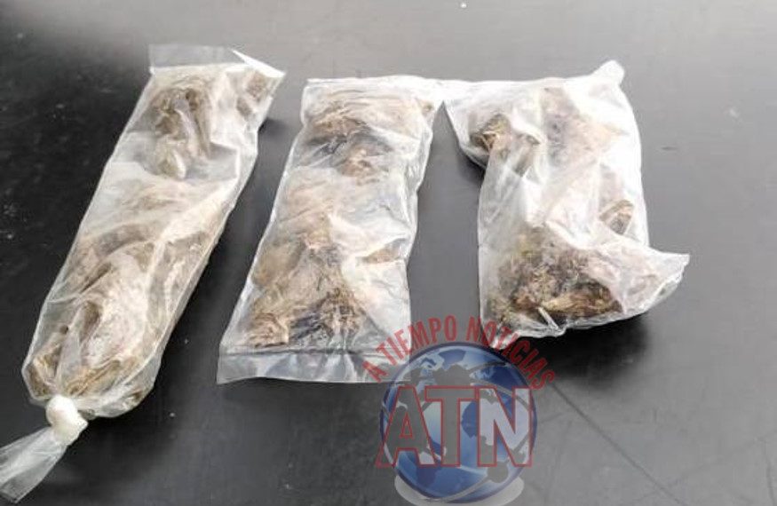 Le encontraron tres bolistas de marihuana