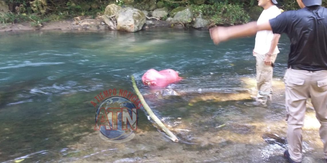 Lo asesinaron y lo encostalaron en la zona media alta