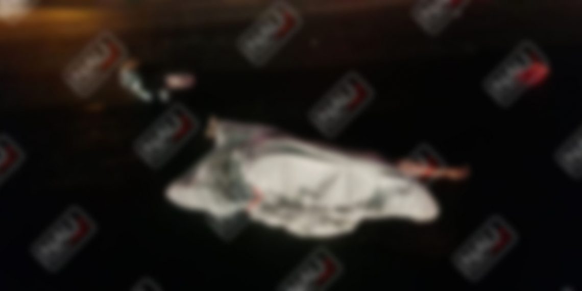 Venía de monterrey a pasar las fiestas de fin de año