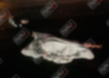 Venía de monterrey a pasar las fiestas de fin de año