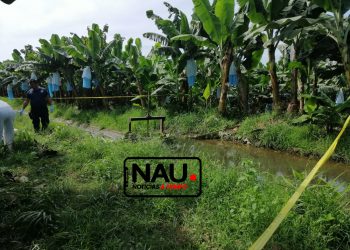 Localizan a una persona sin vida en el canal de Riego del Ejido la Libertad