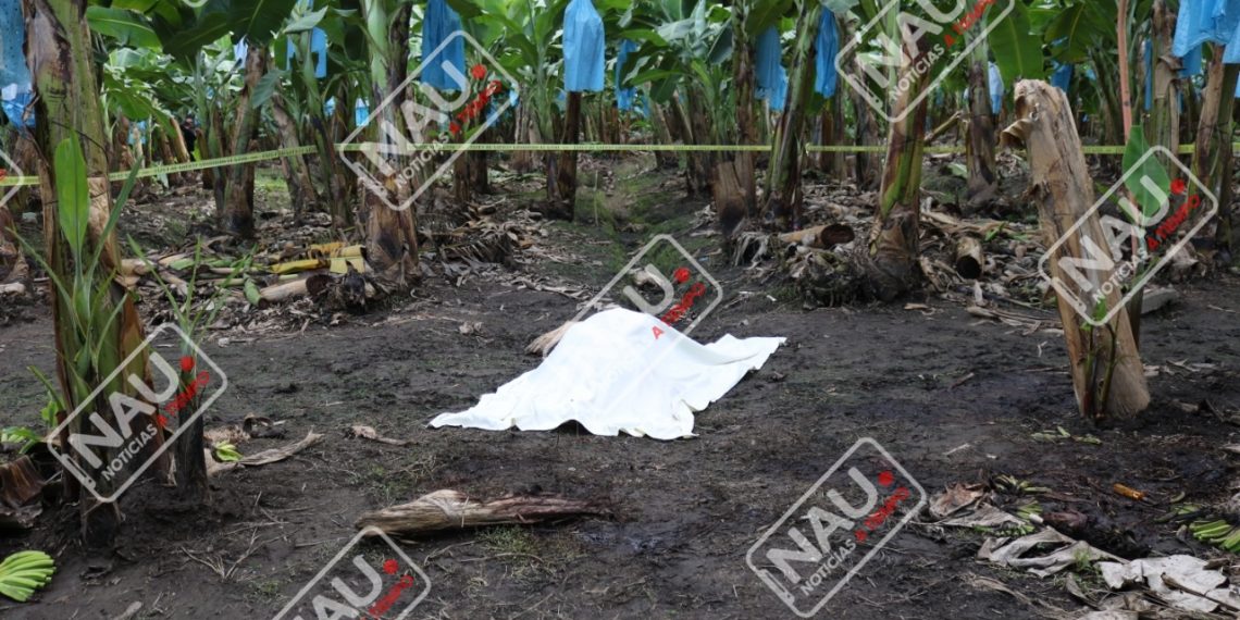 Asesinan a jornalero de 15 machetazos