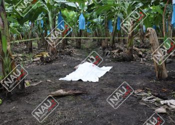 Asesinan a jornalero de 15 machetazos