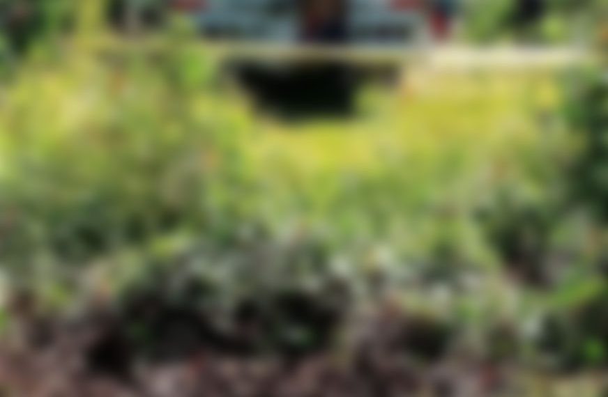 Menor se ahorcó en la calle