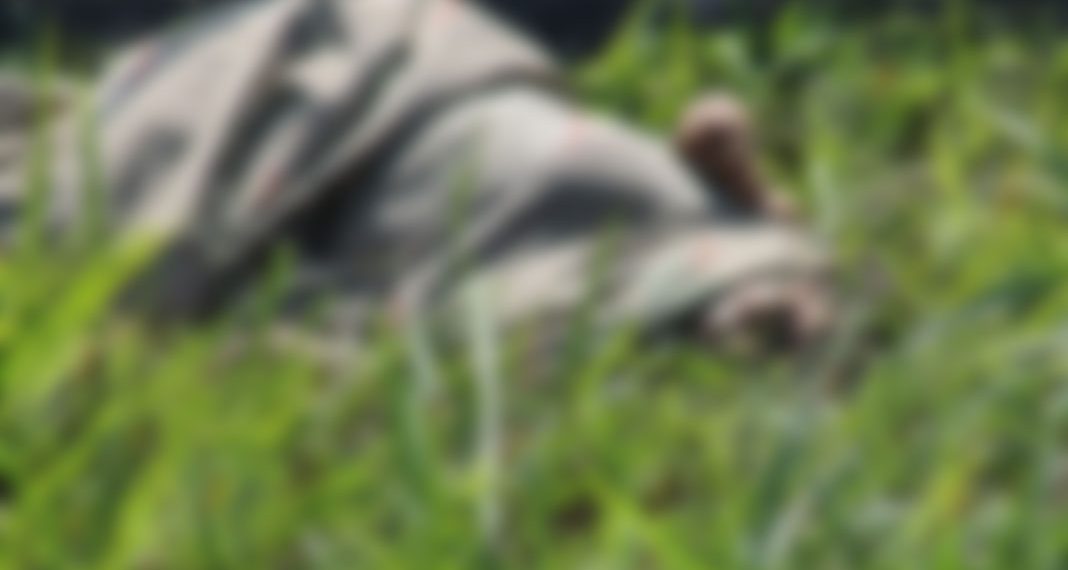 Localizan el cuerpo de una mujer sobre la carretera Huixtla – Villa Comaltitlán