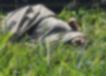 Localizan el cuerpo de una mujer sobre la carretera Huixtla – Villa Comaltitlán