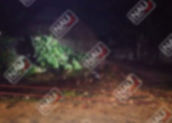 Degollado en la zona alta